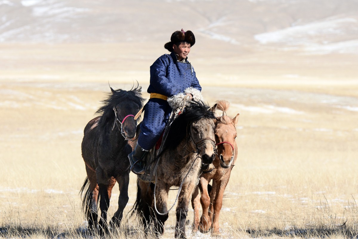 1 nomadi20dellasia a20mongolia20cte 355320a20cavallo20nella20prateria201520x10